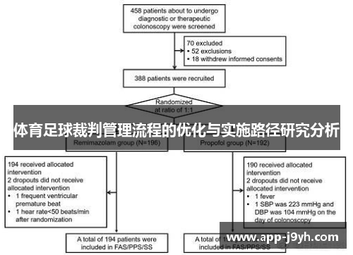 体育足球裁判管理流程的优化与实施路径研究分析