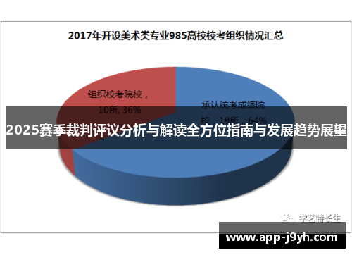 2025赛季裁判评议分析与解读全方位指南与发展趋势展望