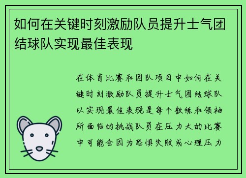 如何在关键时刻激励队员提升士气团结球队实现最佳表现